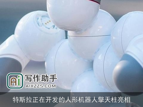 特斯拉正在开发的人形机器人擎天柱亮相