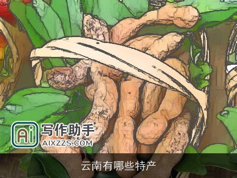 云南有哪些特产