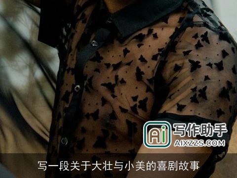 写一段关于大壮与小美的喜剧故事