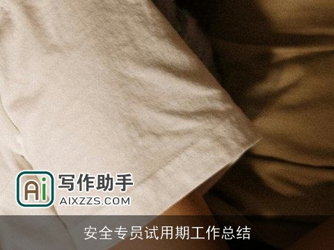 安全专员试用期工作总结