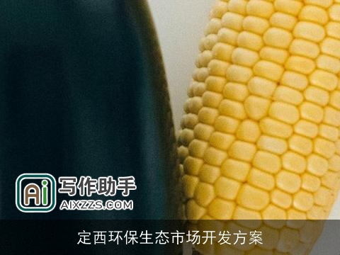 定西环保生态市场开发方案