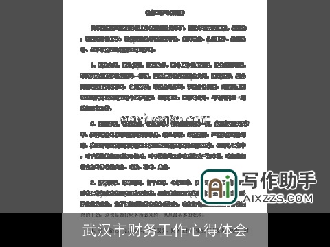 武汉市财务工作心得体会