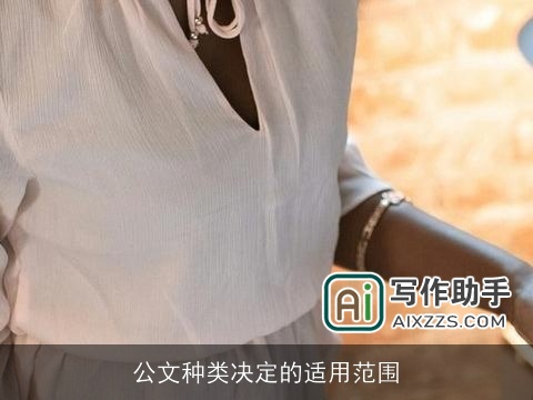 公文种类决定的适用范围