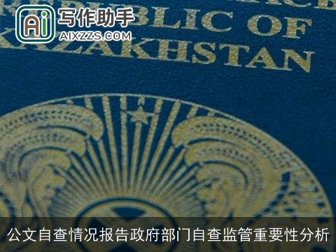 公文自查情况报告政府部门自查监管重要性分析