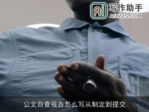 公文自查报告怎么写从制定到提交