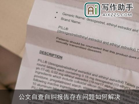 公文自查自纠报告存在问题如何解决