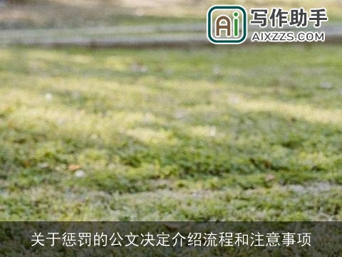 关于惩罚的公文决定介绍流程和注意事项