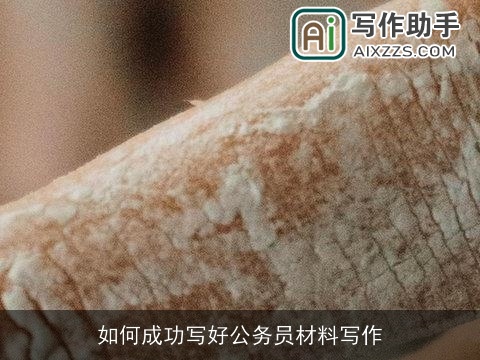 如何成功写好公务员材料写作