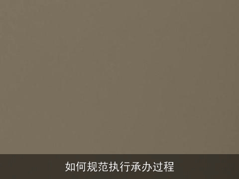 如何规范执行承办过程