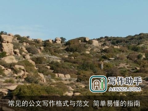 常见的公文写作格式与范文 简单易懂的指南