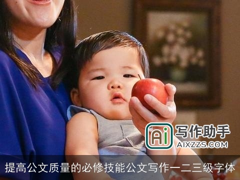 提高公文质量的必修技能公文写作一二三级字体