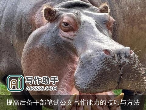 提高后备干部笔试公文写作能力的技巧与方法