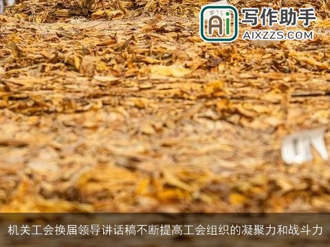 机关工会换届领导讲话稿不断提高工会组织的凝聚力和战斗力