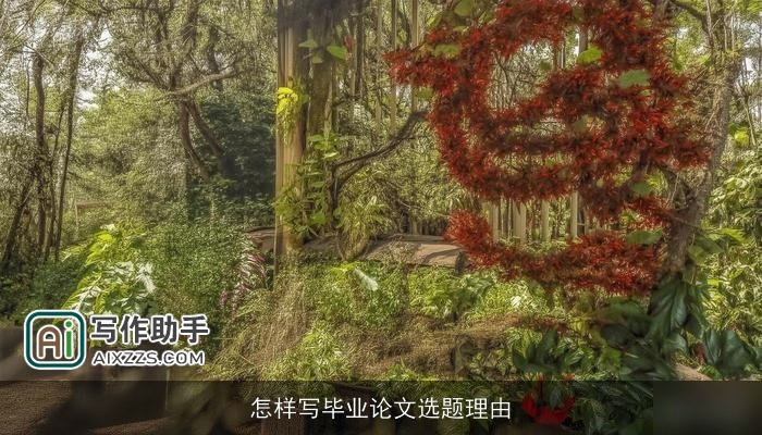 怎样写毕业论文选题理由