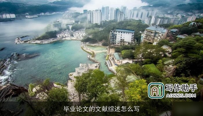 毕业论文的文献综述怎么写