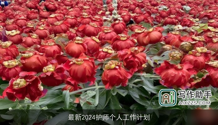 最新2024护师个人工作计划