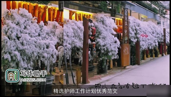 精选护师工作计划优秀范文