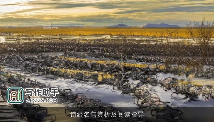 诗经名句赏析及阅读指导