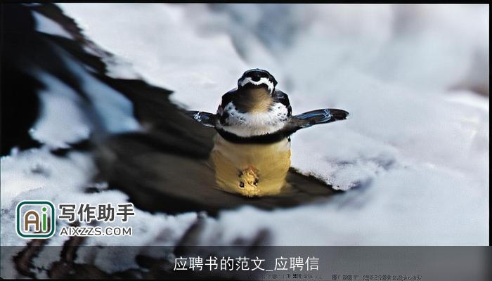 应聘书的范文_应聘信