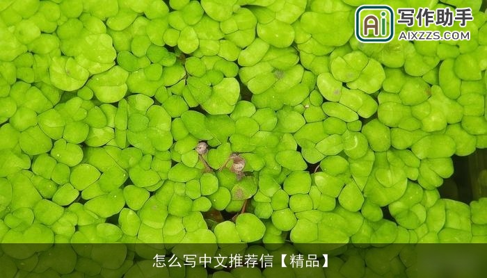 怎么写中文推荐信【精品】