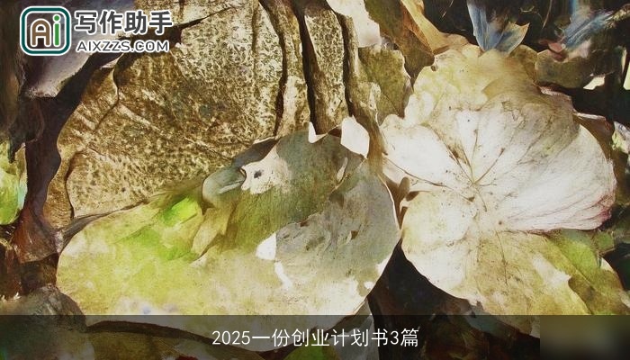 2025一份创业计划书3篇