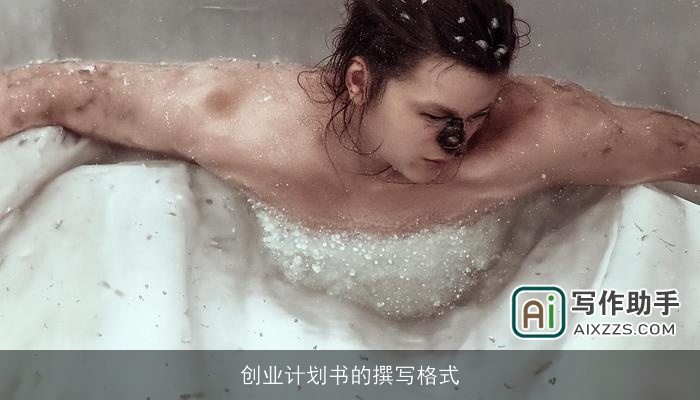 创业计划书的撰写格式