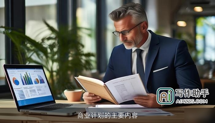 商业计划的主要内容