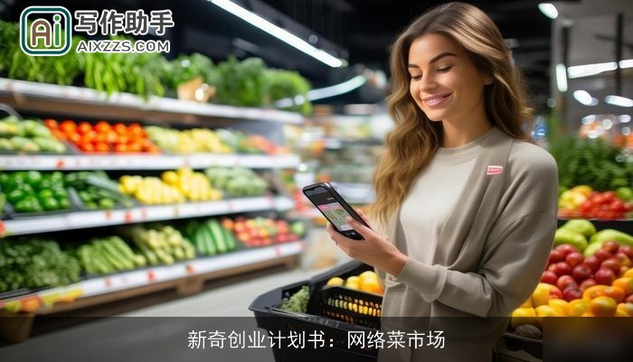 新奇创业计划书：网络菜市场