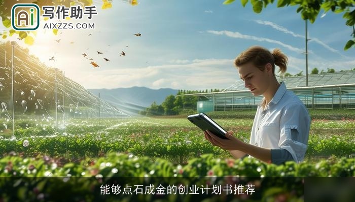 能够点石成金的创业计划书推荐