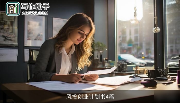 风投创业计划书4篇