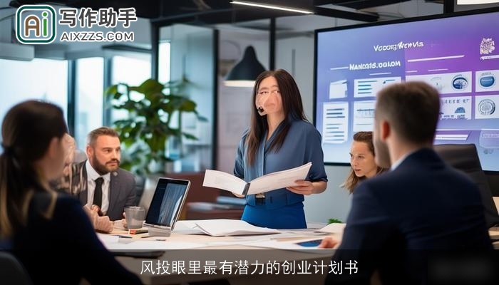 风投眼里最有潜力的创业计划书