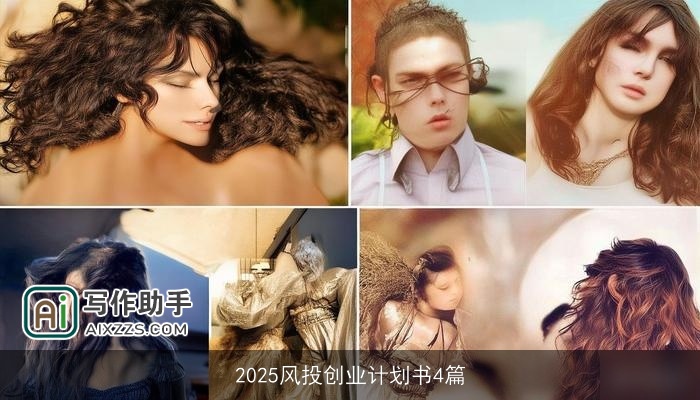 2025风投创业计划书4篇