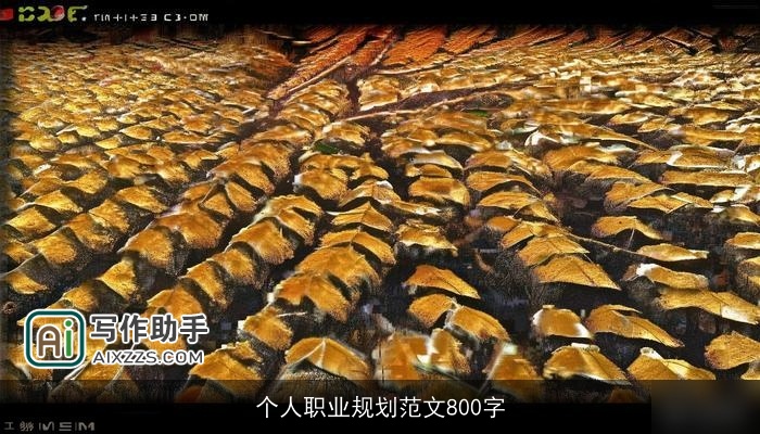 个人职业规划范文800字