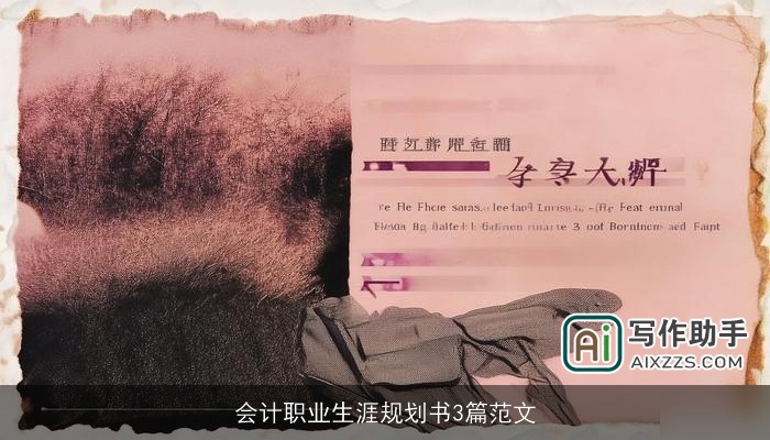 会计职业生涯规划书3篇范文