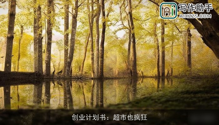 创业计划书：超市也疯狂