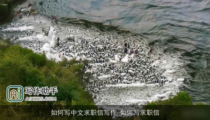 如何写中文求职信写作_如何写求职信