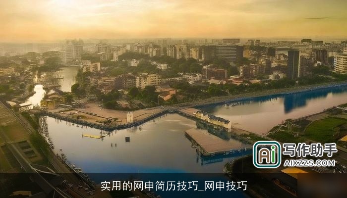 实用的网申简历技巧_网申技巧