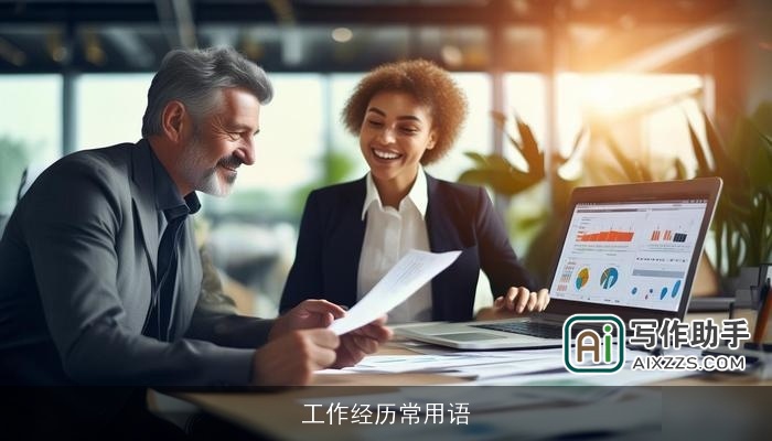 工作经历常用语