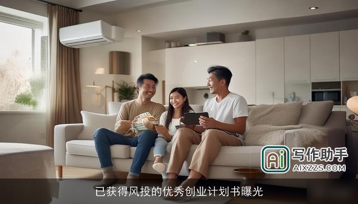 已获得风投的优秀创业计划书曝光