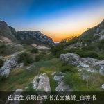 应届生求职自荐书范文集锦_自荐书