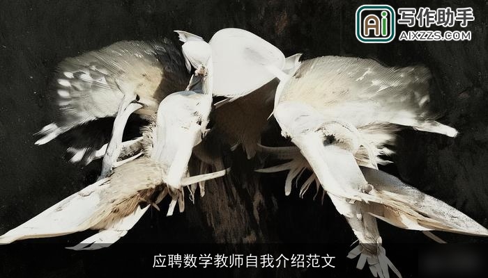 应聘数学教师自我介绍范文