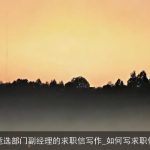 竞选部门副经理的求职信写作_如何写求职信