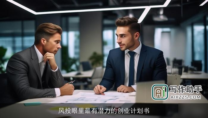 风投眼里最有潜力的创业计划书