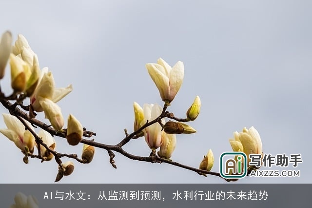AI与水文：从监测到预测，水利行业的未来趋势