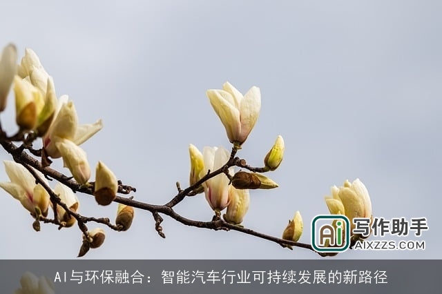 AI与环保融合：智能汽车行业可持续发展的新路径