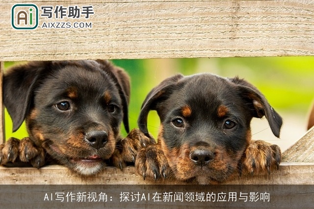 AI写作新视角：探讨AI在新闻领域的应用与影响