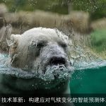 AI技术革新：构建应对气候变化的智能预测体系