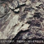 AI公文写作助手，海量素材一键生成专业公文！