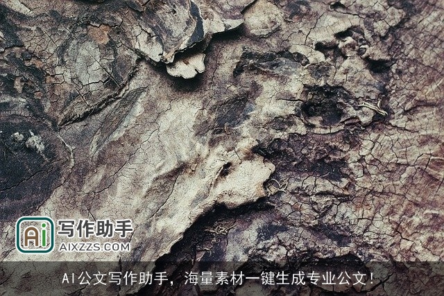 AI公文写作助手，海量素材一键生成专业公文！