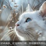 AI好评神器，打造网购口碑，轻松赚取购物积分
